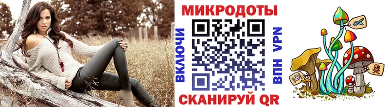 Галлюциногенные грибы Psilocybine cubensis Гусь-Хрустальный